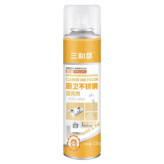 Factory Made Cleaner Wholesale Household Care Stainless Steel Cleaner Aerosol Spray 